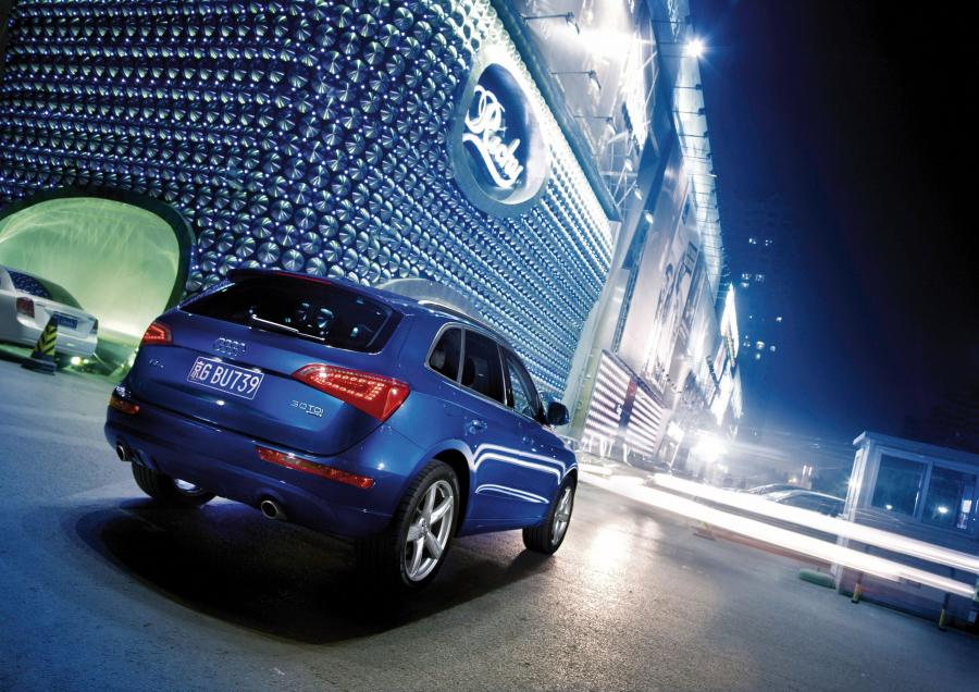  Audi Q5 3.0 TDI Quattro (8R) 2008 года  (фото 28 из 30)